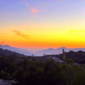 Meet your Posher, Alison